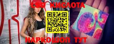 дмт Краснодар