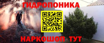 дмт Краснодар