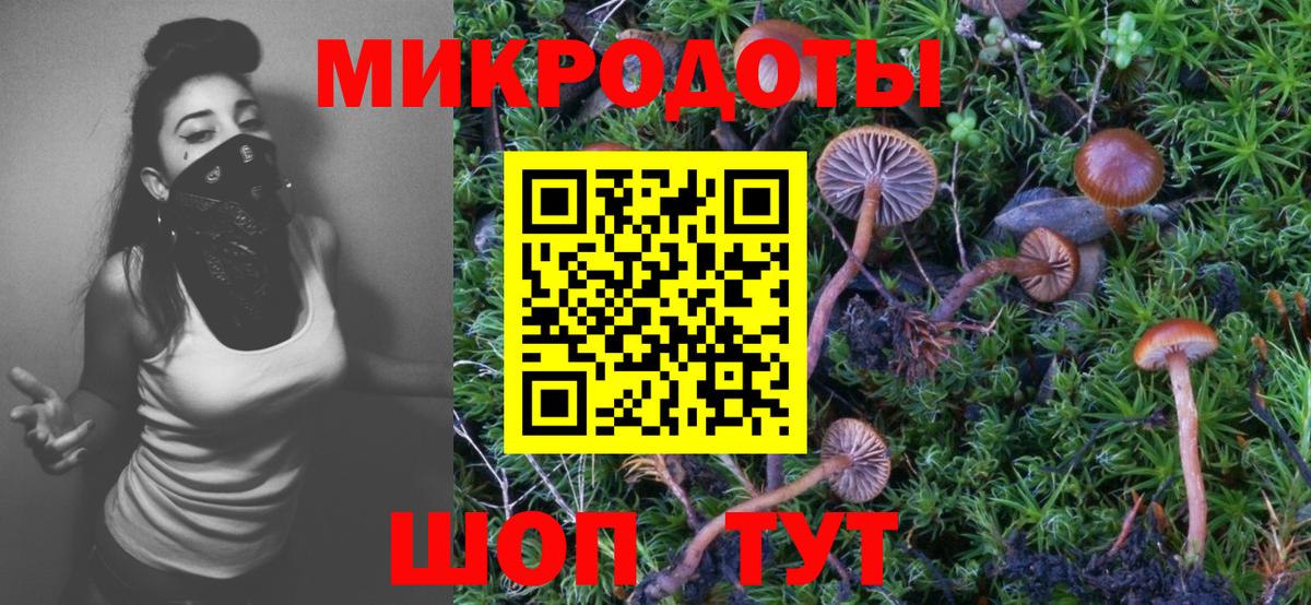Галлюциногенные грибы ЛСД Кириши