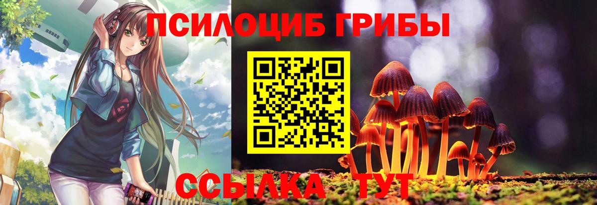 Кириши  Галлюциногенные грибы Magic Shrooms  закладки  Вход с VPN 